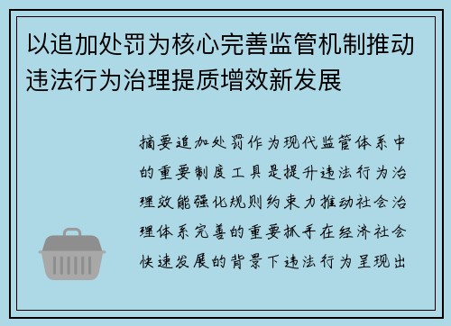 以追加处罚为核心完善监管机制推动违法行为治理提质增效新发展